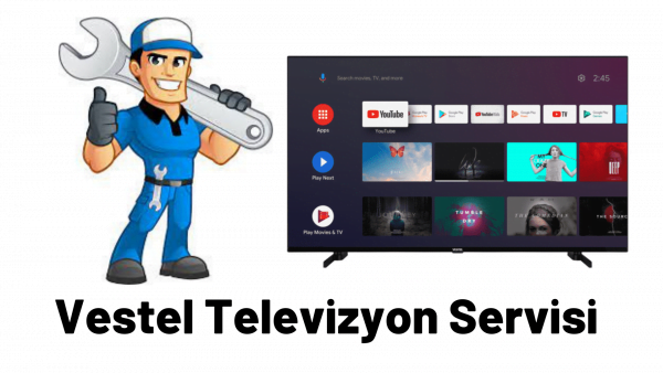 Vestel Darıca Servisi